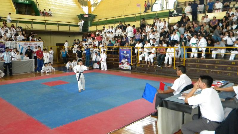 Se realizó torneo nacional de Shin Shu Kan
