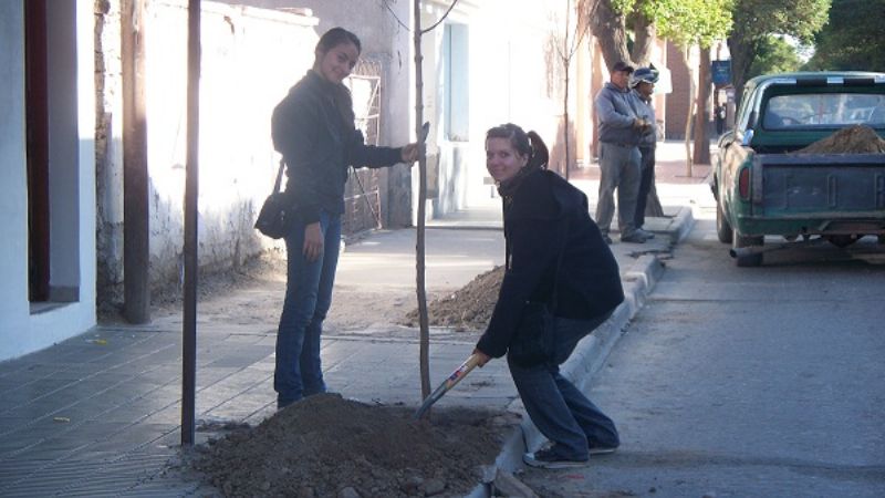 Plan de recuperación del arbolado urbano