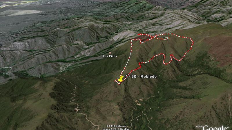 Se registró importante incendio forestal en Los Angeles