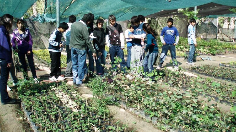 La Capital implementa el Programa “Vivero Educativo”