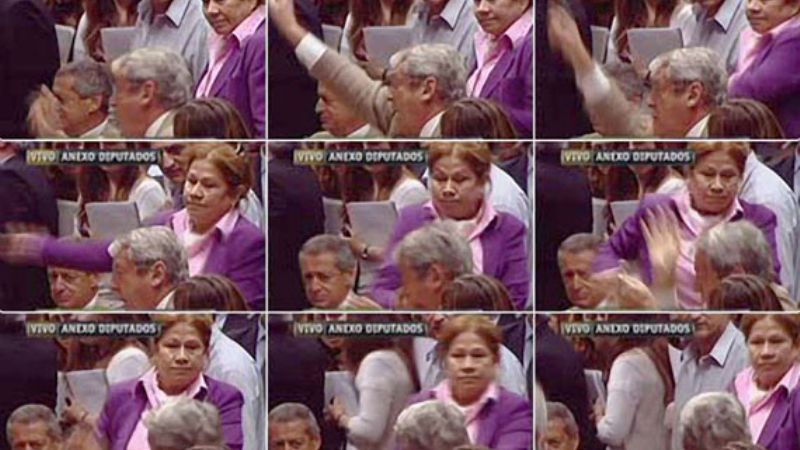 Deja la política para manejar a la tigresa Camaño