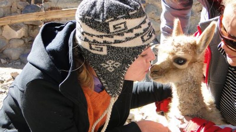 Lagunas con Flamencos Rosados, Volcanes, Salares, Campos de Lava Únicos en el Mundo !!!