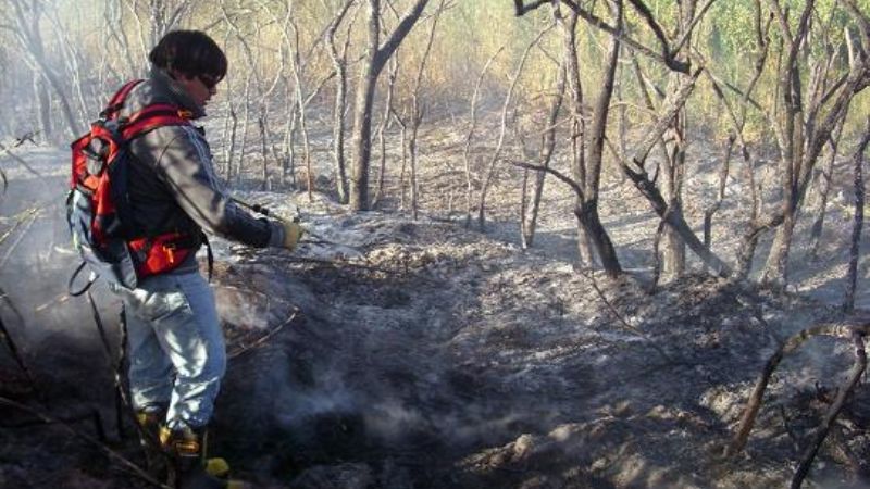 Incendio de grandes proporciones en Fiambalá