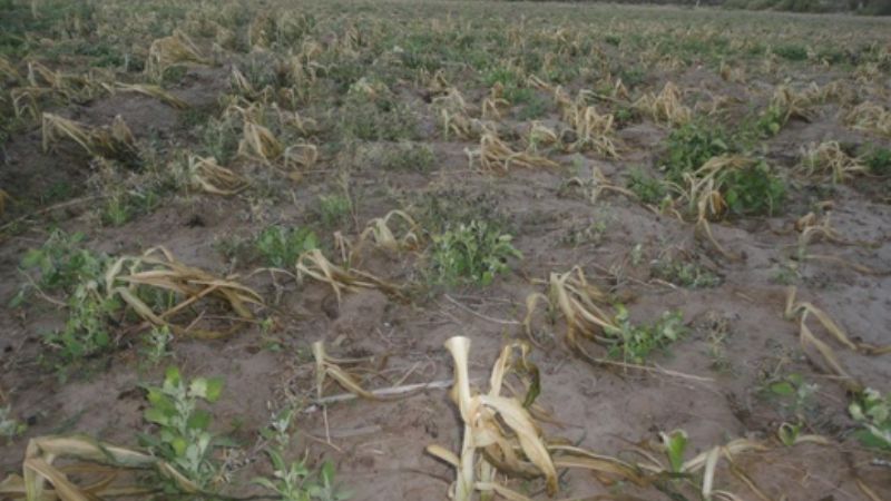 Declaran en emergencia a zona serrana 