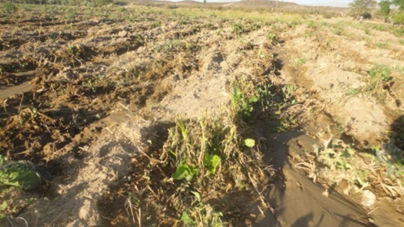 Declaran en emergencia a zona serrana 