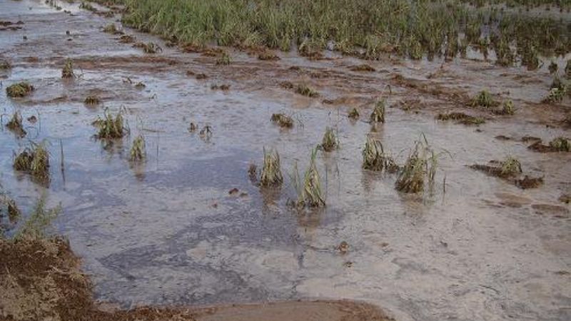 Las lluvias traen alivio para muchos y problemas para otros