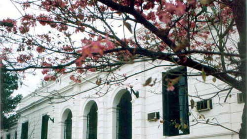 El rol de la universidad en debate