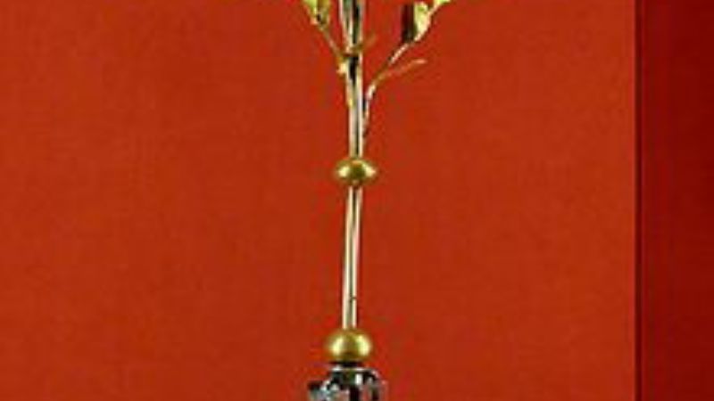 El Papa otorgó la Rosa de Oro para el Santuario de la Virgen del Valle