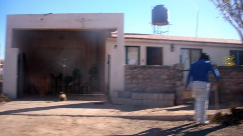 En Vivienda destinada a médicos se atienden mascotas