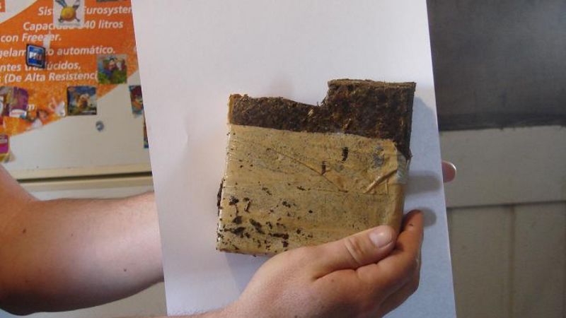 Tenían marihuana plantada en la casa