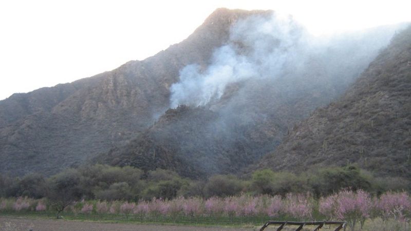 Incendio forestal en la ciudad de Belén