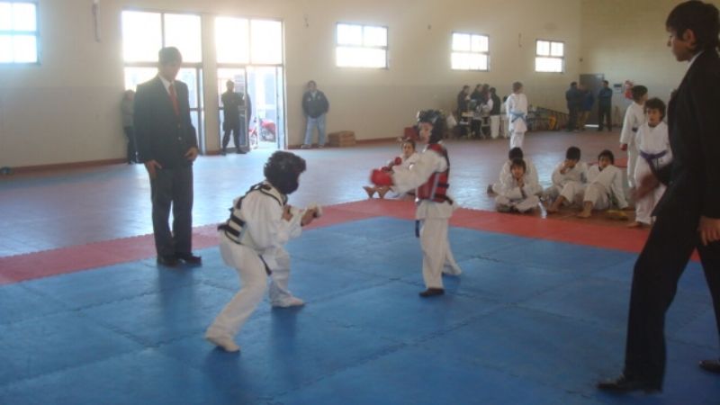 Se realizó la 3° fecha del torneo provincial 2010 de Karate-Do