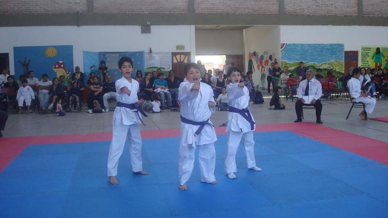 Se realizó la 3° fecha del torneo provincial 2010 de Karate-Do
