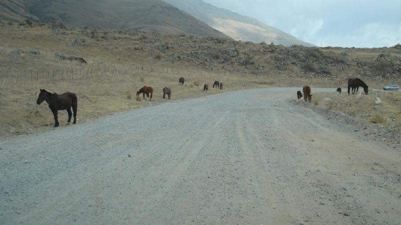 Comenzaron a mover las maquinarias en la zona del Infiernillo