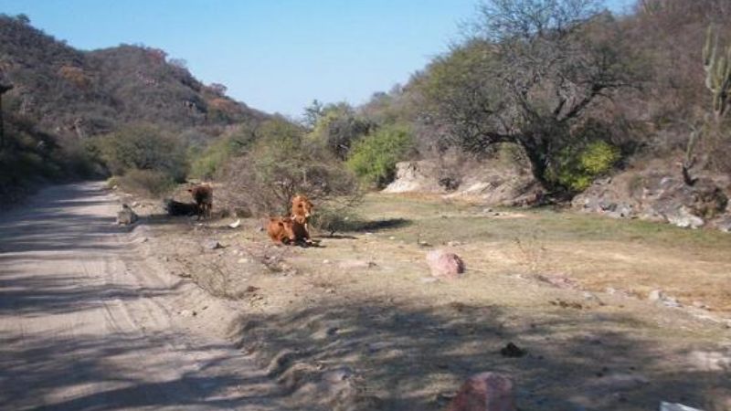 1º Festival de la Costa de la Sierra en La Dorada
