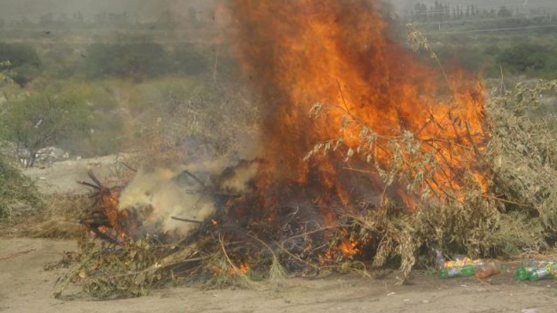 En operativo de bromatología incineran alimentos vencidos