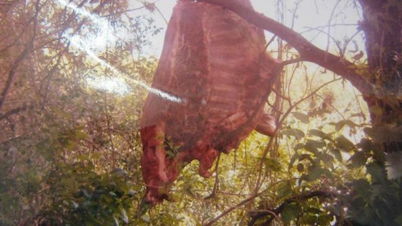 Detenido por faenar un animal en El Alto