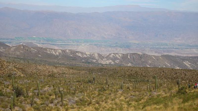 La famosa línea de 33 KW se encuentra paralizada