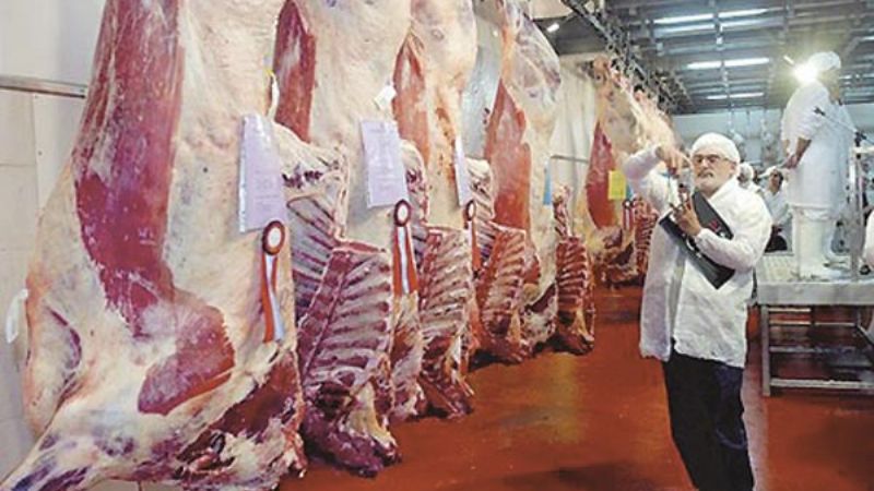 En un año cerraron sus puertas 100 frigoríficos en el país