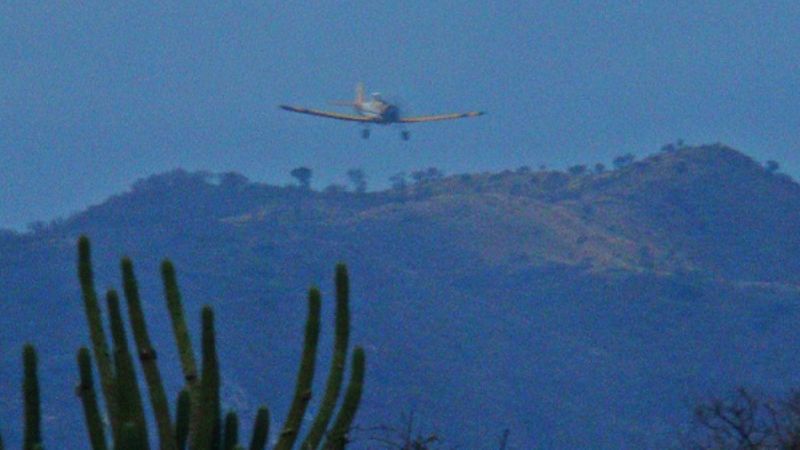 Quema de pastizales cerca del Predio Ferial