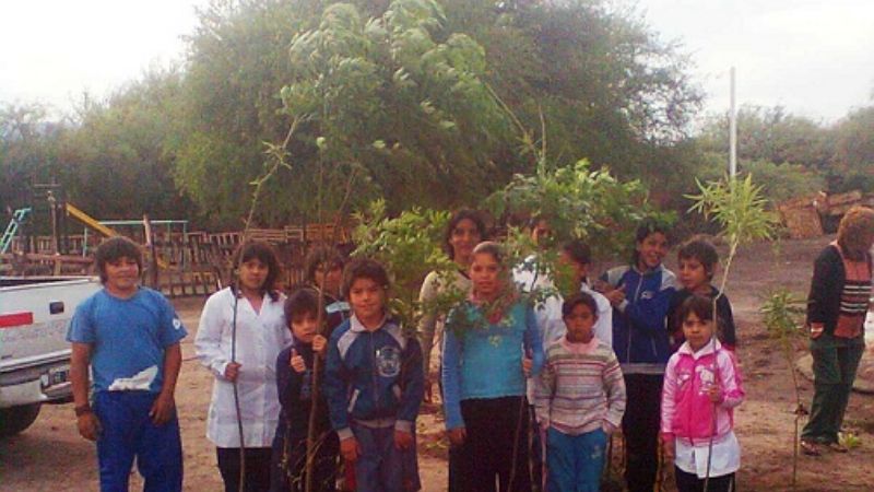 Forestación del predio de la escuela de Bajo Hondo