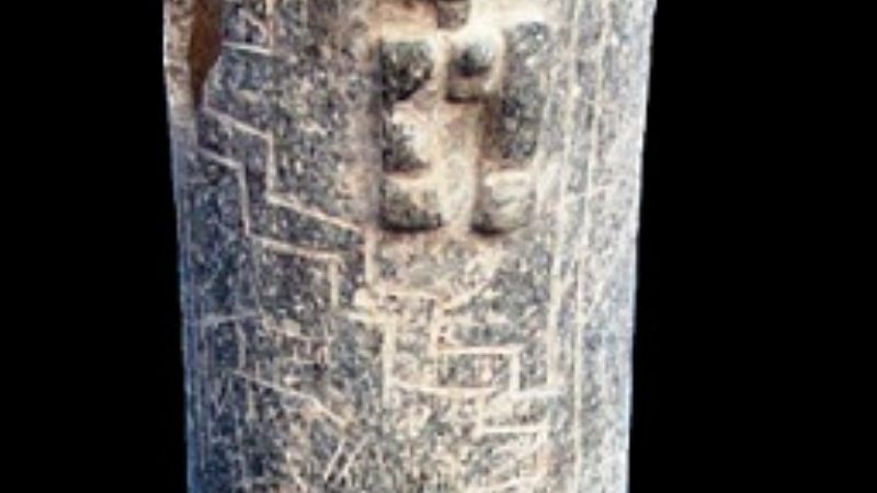 Importante hallazgo de restos óseos en Villa Vil