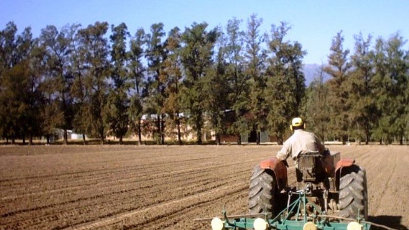 Jornada a campo sobre los cultivos de comino y anís