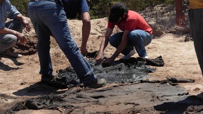 Secuestran cueros de animales vacunos