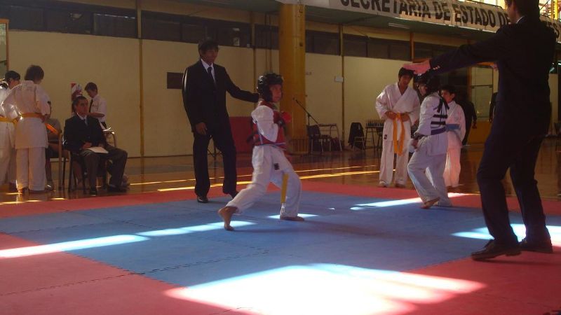 Torneo Provincial de Karate