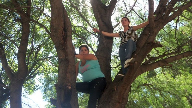 Dos mujeres amenazan con tirarse de un árbol