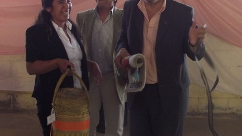 Informe de la gestión de la Escuela Municipal 