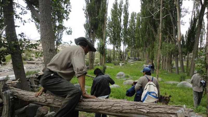 Vacunación de ganado menor