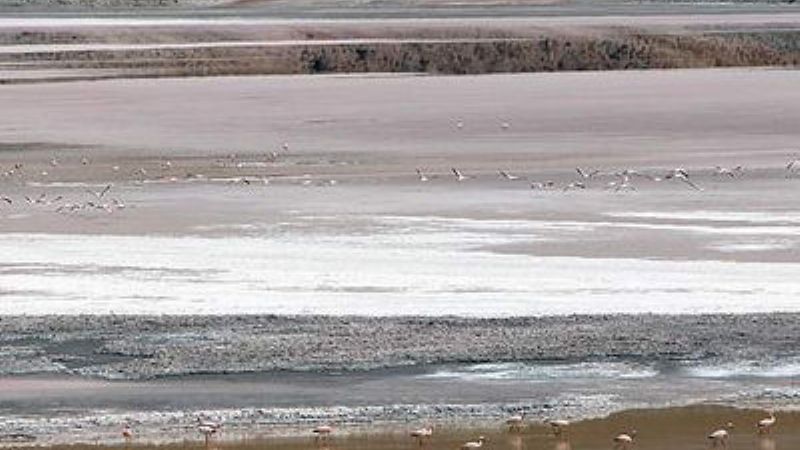 Con notable éxito, continúan los viajes a la Puna