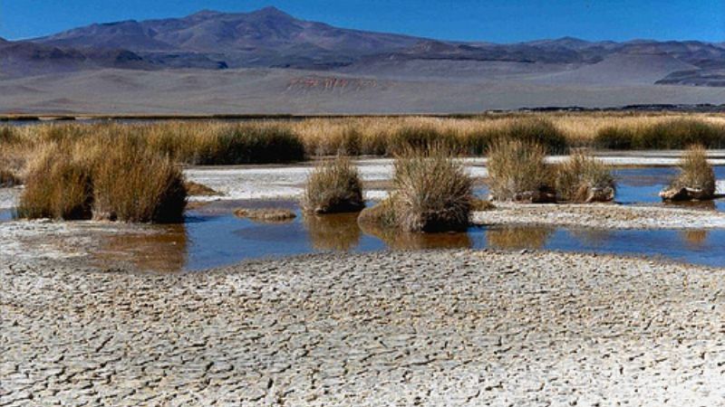 Con notable éxito, continúan los viajes a la Puna