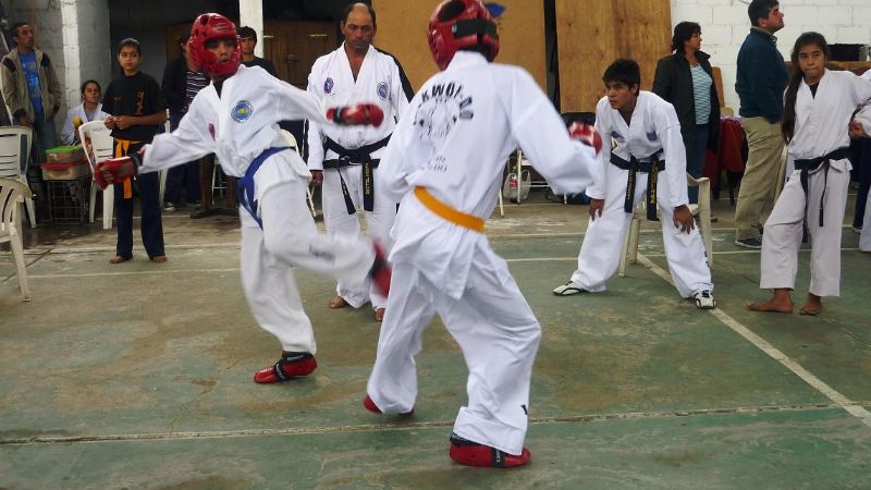 Torneo Taekwondo ITF “Copa de Verano El Rodeo 2011”