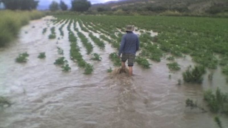 La ayuda finalmente llegó