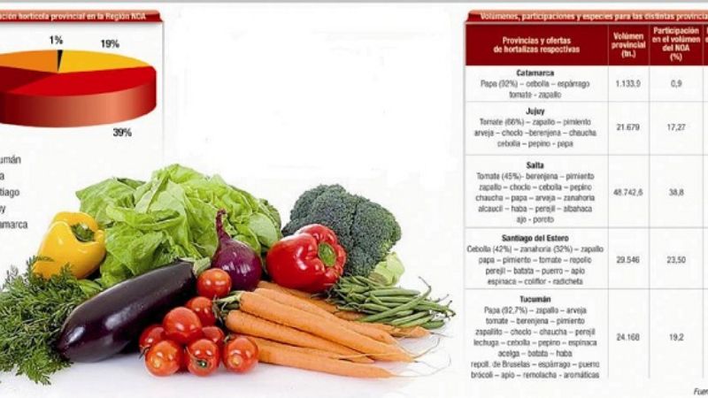 En el NOA, somos la provincia que menos aporta al total regional de frutas y hortalizas