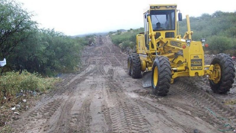 Limpieza y reforestación en el Paseo de los Cactus 