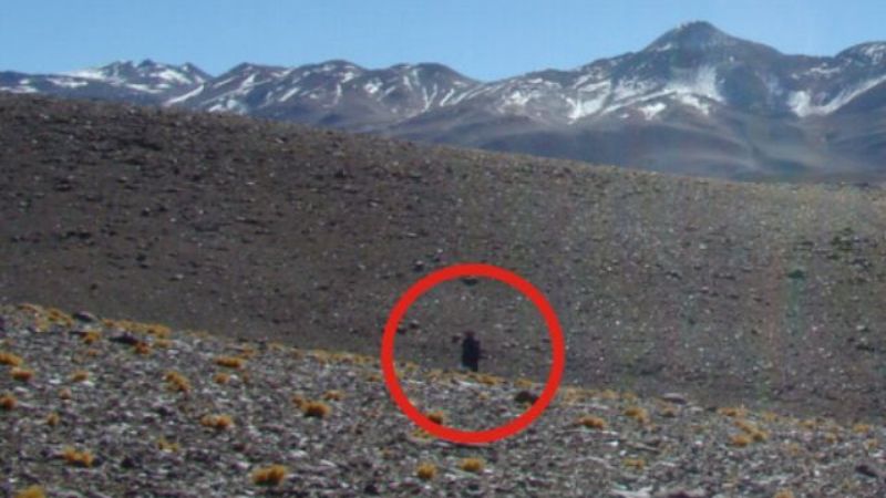 ¿Un fantasma en la puna?