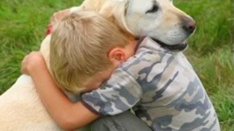 Día del mejor amigo del hombre 