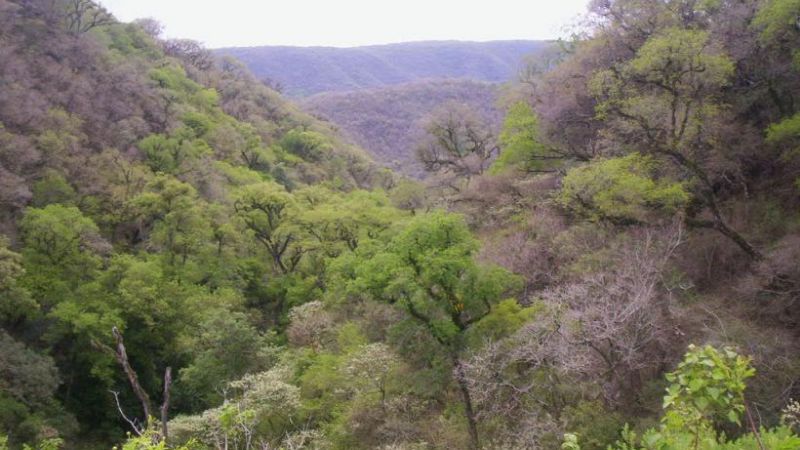 El Día Mundial del Medio Ambiente