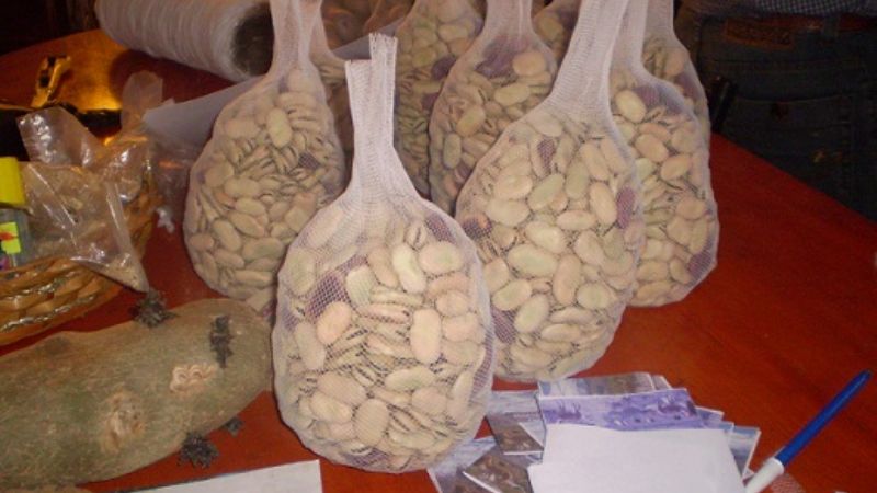 Se pone en marcha la 4º edición de la Feria Andina 