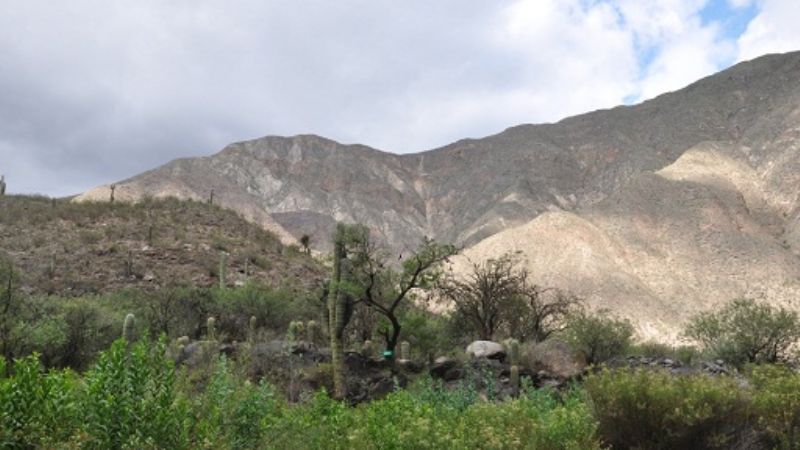 A pesar de todo lo que se dijo, “ni un pollo se me ha muerto”