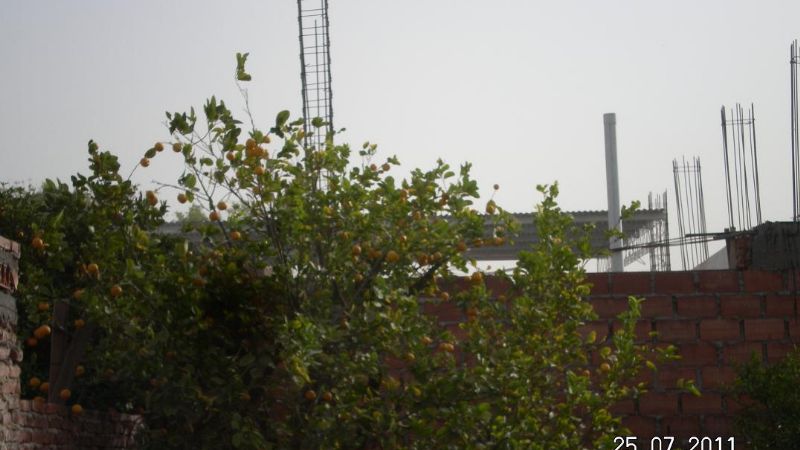 Zonda con ráfagas de 60 km/h afectó al Valle Central