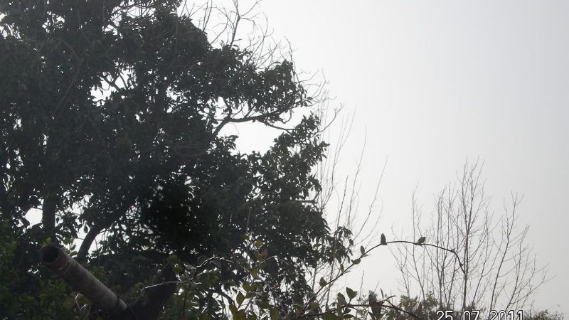 Zonda con ráfagas de 60 km/h afectó al Valle Central