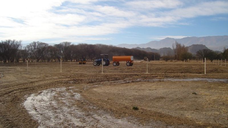 Todo listo para el concurso de caballos peruanos 