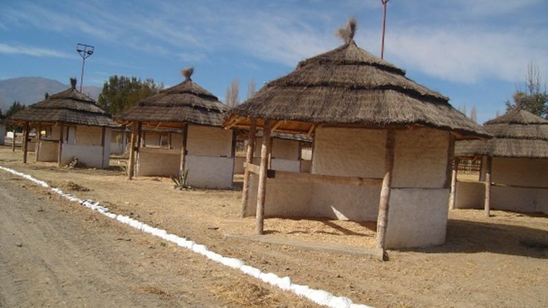Todo listo para el concurso de caballos peruanos 