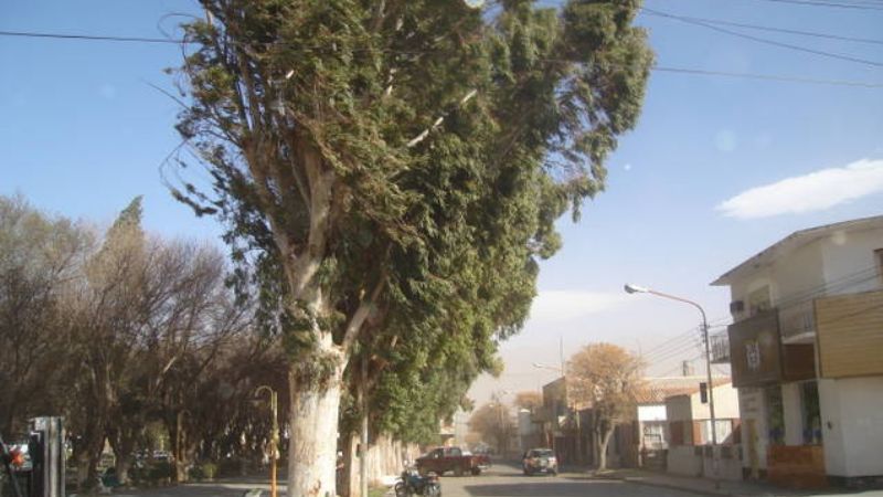 Fuertes vientos azotan Santa María