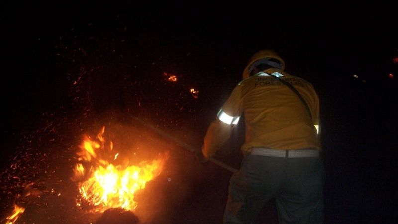 Combaten tres incendios forestales simultáneos en Recreo