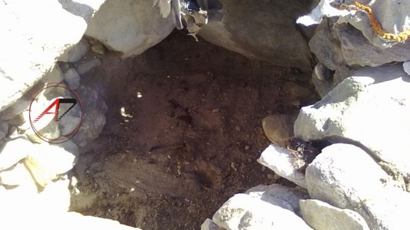 La noticia del bebé que habría sido devorado por un chancho ya es noticia nacional